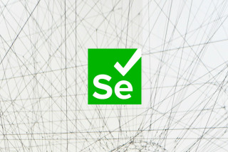 selenium-businesscase
